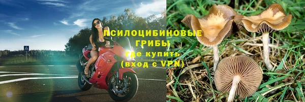соль ск Медвежьегорск