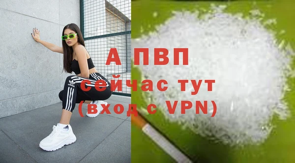 соль ск Медвежьегорск