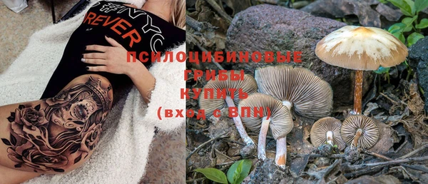 ECSTASY Медногорск