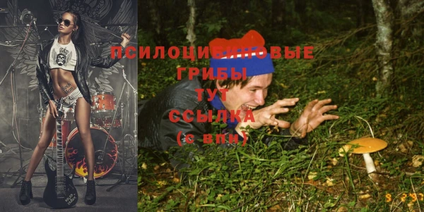 соль ск Медвежьегорск