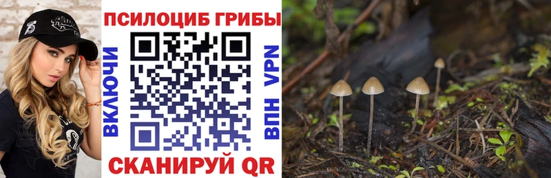 Псилоцибиновые грибы Psilocybine cubensis MEGA онион Юхнов